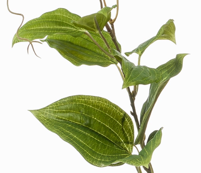 Künstlicher Ziergras-Busch mit langen, spitzen Halmen