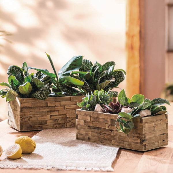 FRANK FLECHTWAREN|Pflanzkasten Puro, 2er Set, 37 x 14 x 12, 47 x 19 x 14 cm, HOLZ, FOLIE