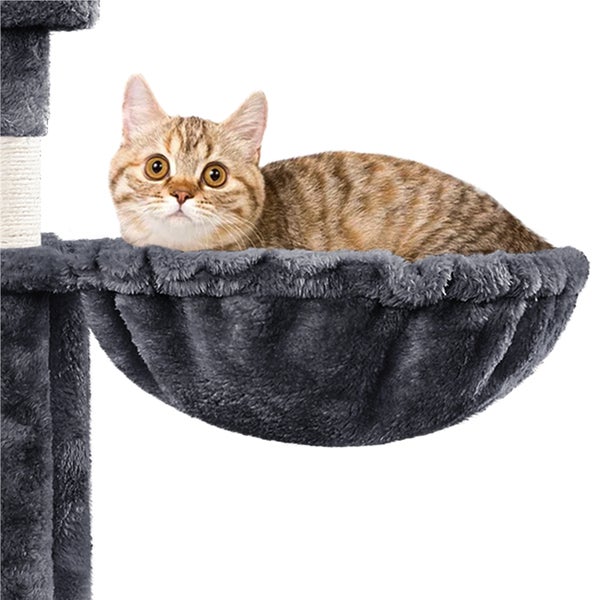 Katze liegt in einem Katzenbaum mit Schlafkorb