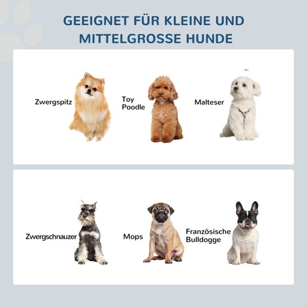 Kleine und mittelgroße Hunde: Zwergspitz, Toy Poodle, Malteser, Zwergschnauzer, Mops und Französische Bulldogge.