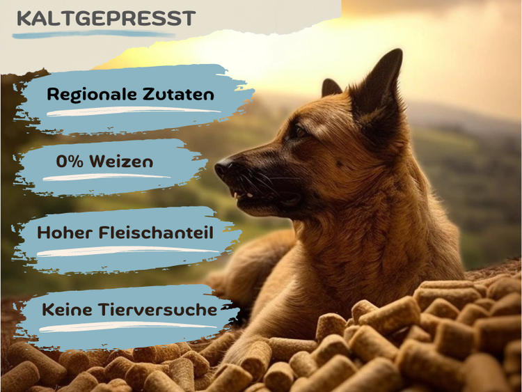 Kaltgepresst Poulet & Regenbogenforelle mit Reis | hoher Fleischanteil (ca. 66% Ente, Huhn, Pute frisch)| naturnahe Rezeptur