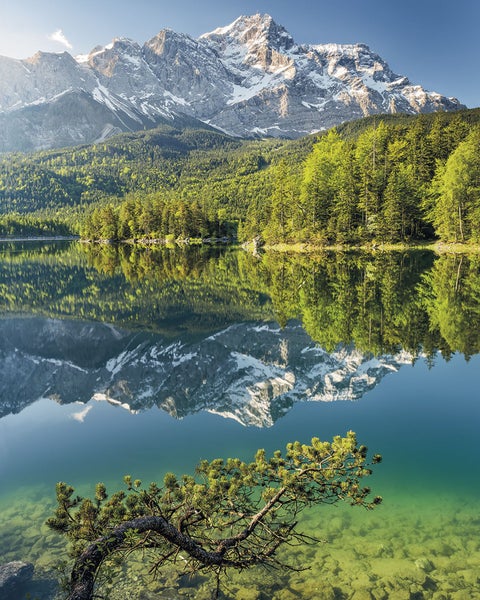 Landschaft mit Bergsee, Bäumen und schneebedeckten Bergen