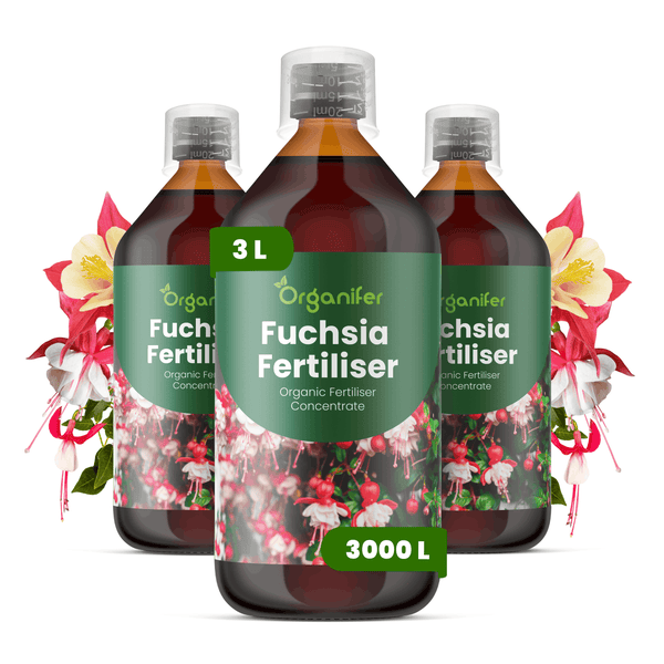 Organifer Fuchsien-Dünger, organisches Konzentrat, 3 Liter, ergibt 3000 Liter.