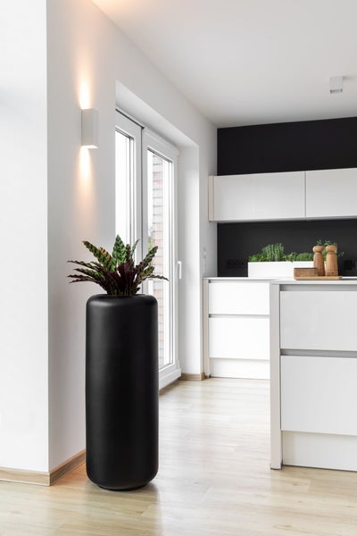 Zylindrisches Pflanzgefäß in Schwarz mit Calathea-Zimmerpflanze in einer hellen, modernen Küche mit weißer Front und Holzboden.