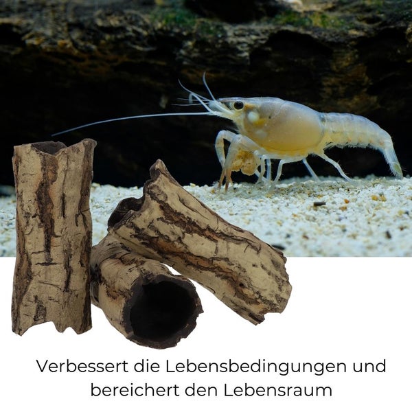 Aquarium Deko Höhle Röhre Reptilien Wurzel Ast Holz Ablaichhöhle Ablaichröhre Fisch Krebs Wels Laichröhre Tonröhre Laichhöhle