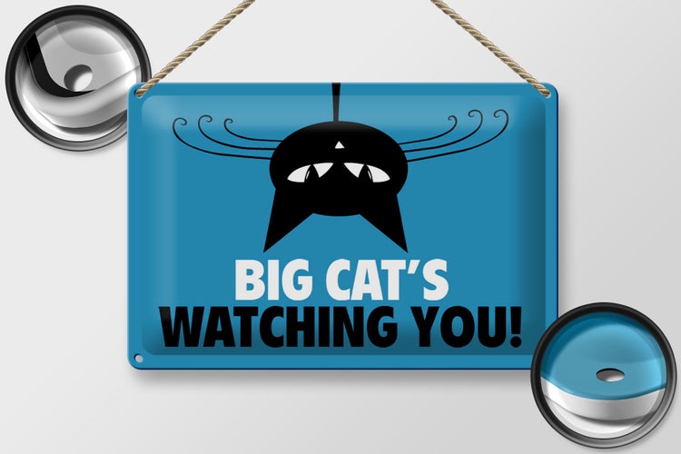 Blechschild Spruch 30x20cm Big cat`s watching you Katze