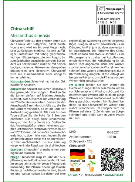 SAFLAX  - Chinaschilf - Miscanthus sinensis - 200 Samen