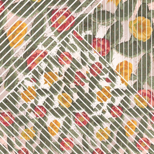 Muster mit Kaktusblüten und geometrischen Linien