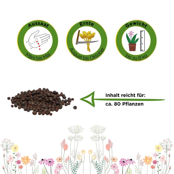 Informationen zur Aussaat von März bis Mai, Ernte von August bis Oktober und Gewicht bis zu 8 Kilogramm. Inhalt reicht für circa 80 Pflanzen.