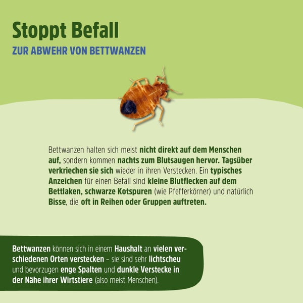 Bettwanzenspray - Effektive Abwehr & Langzeitschutz