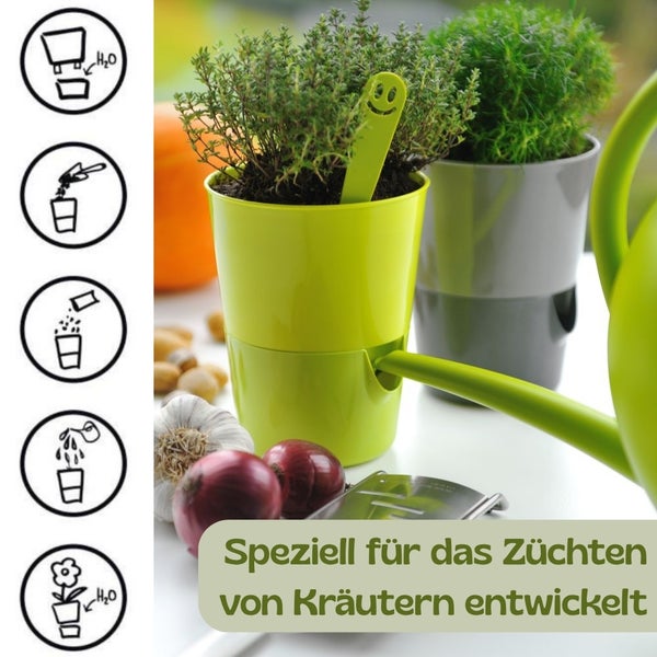 Kräutertopf mit Selbstbewässerung, Gießkanne füllt Wasser ein, Piktogramme zur Anwendung, frische Kräuter und Gemüse in der Küche.