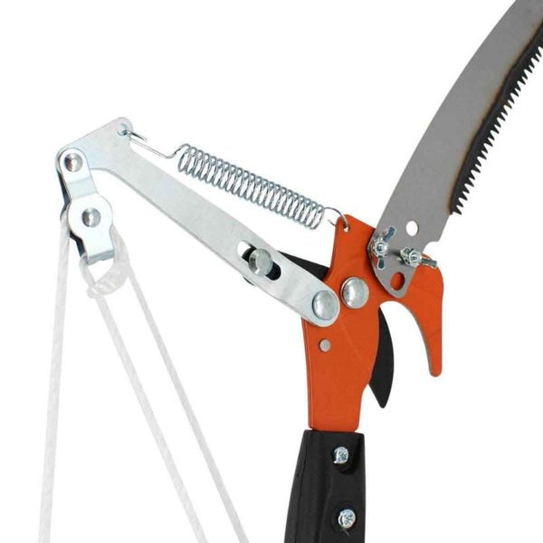 Astschere Detailansicht mit Schneidmechanismus und Sägeblatt