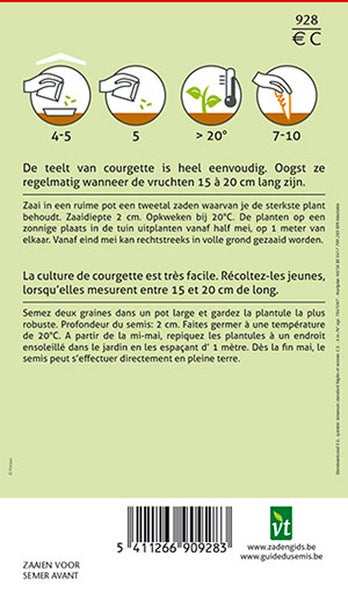 Aussaatanleitung für Zucchini