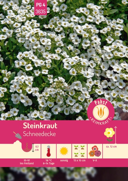 Samentüte Steinkraut Schneedecke, Pabst Keimkraft Logo. Weiße Blüten, Infos zu Aussaat im Freiland, sonnigem Standort und Wuchshöhe circa 12 cm.
