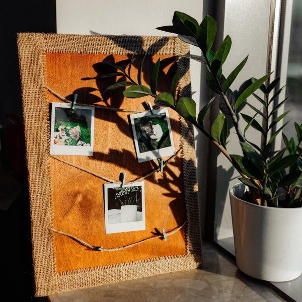 Pinnwand aus Holz mit Jute-Umrandung, Kordeln und Klammern für Fotos, neben einer Zimmerpflanze.