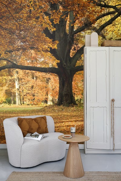 Wohnzimmer mit Fototapete eines herbstlichen Baumes, Sessel und Beistelltisch