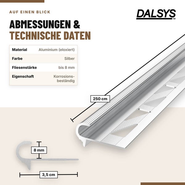 Dalsys Fliesenprofil aus Metall mit Lochstanzung fuer saubere Kantenabschluesse und optimalen Halt bei Fliesenarbeiten.