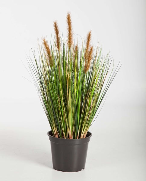 Künstliches grünes Ziergras im schwarzen Kunststofftopf mit braunen Blütenwedeln.