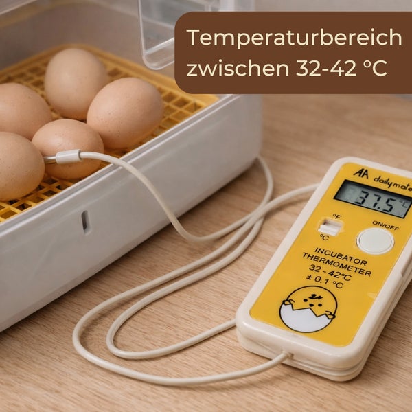 Eier im Inkubator mit Temperaturanzeige