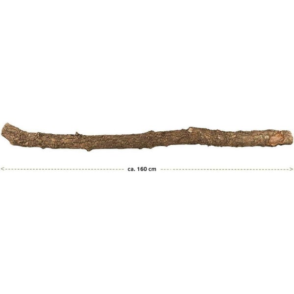 Naturholzast mit Rinde, circa 160 Zentimeter lang, für Dekoration oder Terrarien.