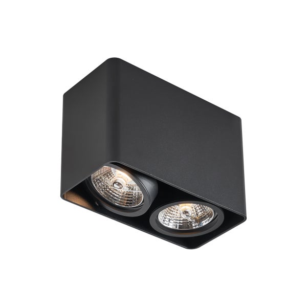 Schwarze Deckenleuchte mit zwei Leuchtmitteln