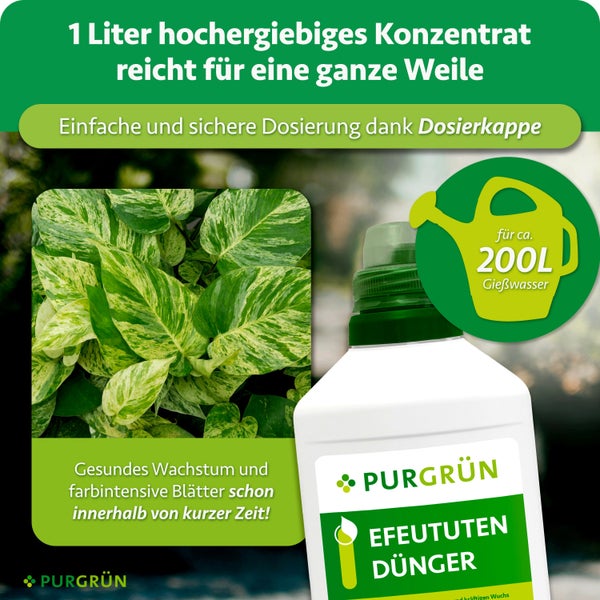 Eine Frau mit Hut pflegt im Garten ihre Blumen, begleitet von Informationen zu Purgrün Dünger für Efeututen mit Nährstoffversorgung.