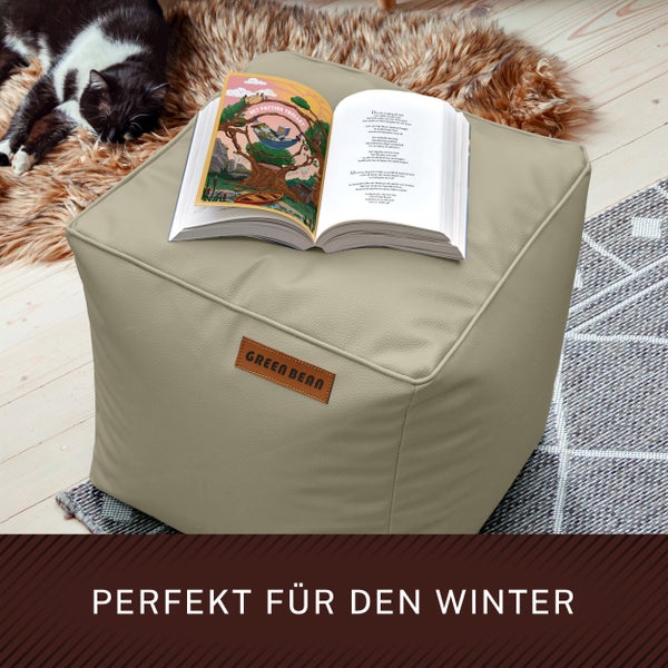 Gemütliche Szene mit Sitzsack, Buch und Katze für entspannte Wintertage.