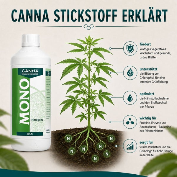 Infografik zeigt Canna Mono Stickstoff Düngerflasche neben einer Pflanze und erklärt dessen Nutzen für vegetatives Wachstum und Pflanzengesundheit.