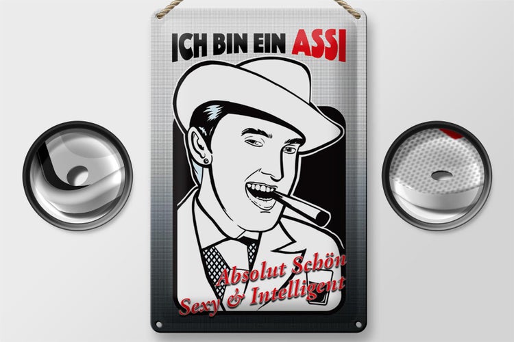 Blechschild Spruch 20x30cm ich bin ASSI schön intelligent