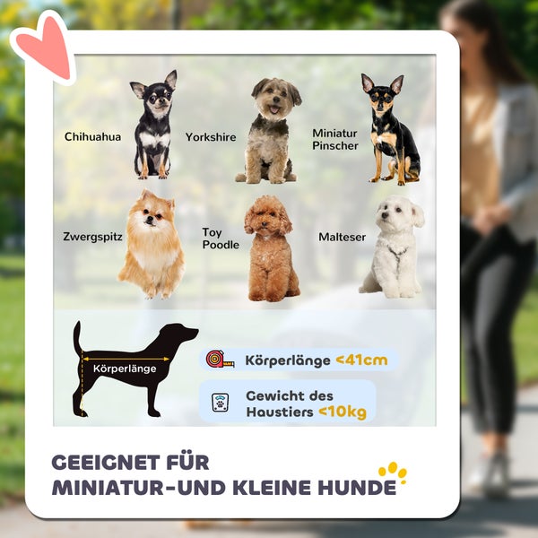 Infografik für kleine Hunde wie Chihuahua und Pudel mit Körperlänge unter 41 Zentimeter und Gewicht unter 10 Kilogramm.