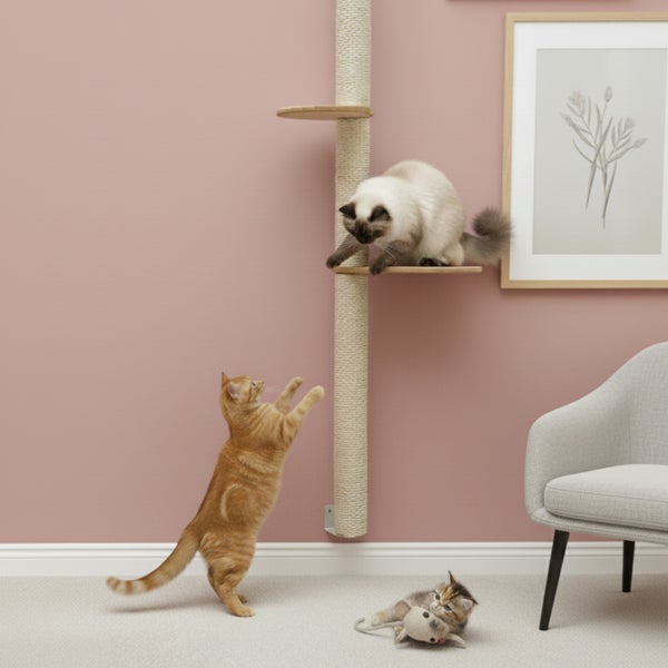 Wandmontierter Katzenkratzbaum mit Sisalstamm und zwei Holzplattformen in einem modern eingerichteten Raum mit drei Katzen.
