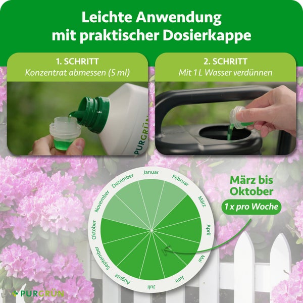 Anleitung für Dünger: fünf Milliliter abmessen, mit einem Liter Wasser verdünnen. Anwendung März bis Oktober einmal pro Woche. Purgrün Logo.