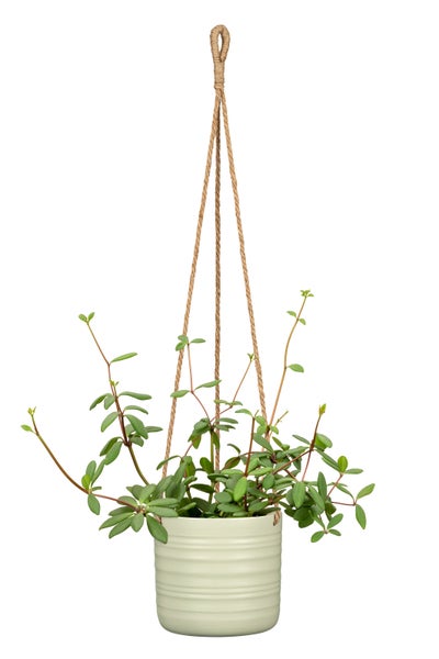 Scheurich Cottage, Hängeampel aus Baumwolle Länge 56 cm & Keramik,  Farbe: Silent Green, 16,6 cm Durchmesser, 16,7 cm hoch, 2,6 l Vol.