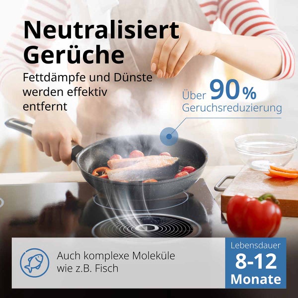 PURERO Aktivkohlefilter für Miele DKF 35-P Active Air Clean Filter