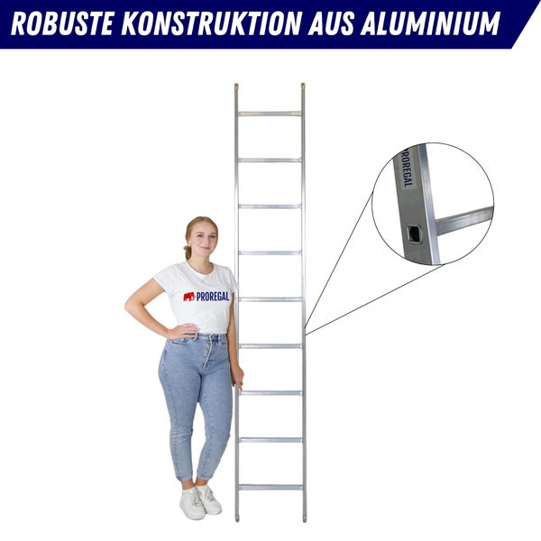 Aluminium Leiter mit Frau für Größenvergleich