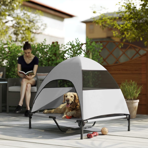 Hund liegt in einem erhöhten Hundebett mit Überdachung auf einer Terrasse, während eine Frau im Hintergrund liest