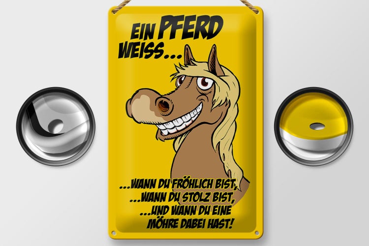 Blechschild Spruch 20x30cm Ein Pferd weiss wann fröhlich