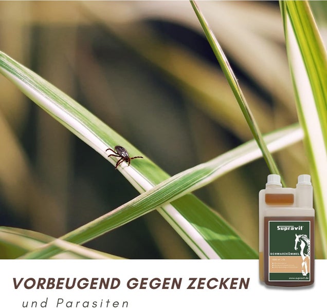 Zeckenprävention mit Schwarzkümmelöl für Tiere