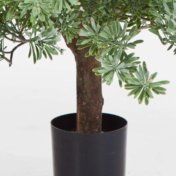 Künstlicher Rosmarinbaum im schwarzen Kunststofftopf mit dichten grünen Blättern und braunem Stamm.
