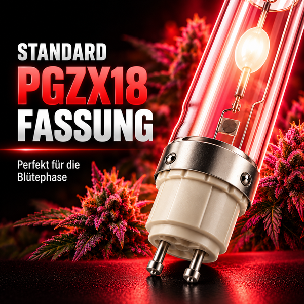 Pflanzenlampe mit PGZX18 Fassung für die Blütephase.