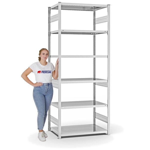 PROREGAL Fachbodenregal Stecksystem T-Profil Heavy-Duty Grundregal HxBxT 250 x 100 x 60 cm 6 Ebenen Fachlast 330 kg Beidseitig Nutzbar Lichtgrau