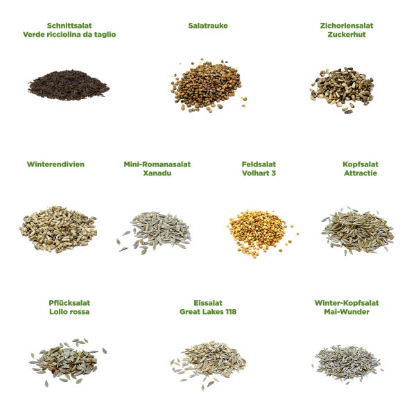 Freistehender Radiator mit vier Säulen und Ventilen