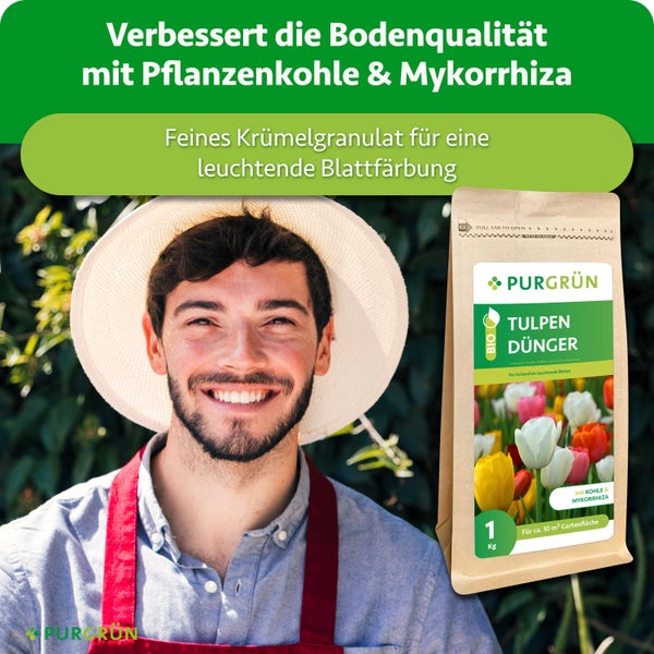 Ein fröhlicher Gärtner mit Hut und Purgrün Tulpendünger mit Pflanzenkohle und Mykorrhiza als Granulat in einer ein Kilogramm Packung.