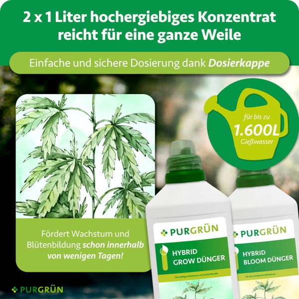 Zwei ein Liter Flaschen Purgrün Hybrid Grow und Bloom Flüssigdünger Konzentrat mit Dosierkappe, ausreichend für bis zu 1600 Liter Gießwasser.