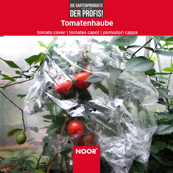 Frühbeet Tomatenhaube  - Abdeckfolie für Ihre Tomatenpflanzen - 65 cm x 10 m - ideales Mikroklima für verbessertes Wachstum
