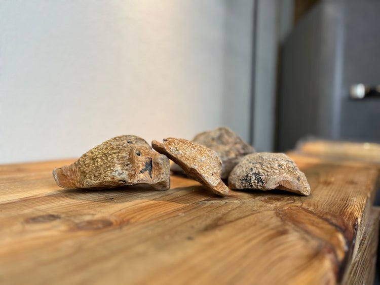 Natürliche Dekorationsstücke aus strukturiertem Holz für Aquarien und Terrarien.
