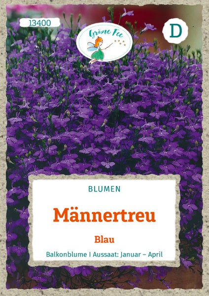 Samentüte für Männertreu der Marke Grüne Fee mit vielen kleinen violetten Blüten, geeignet als Balkonblume, Aussaat von Januar bis April.