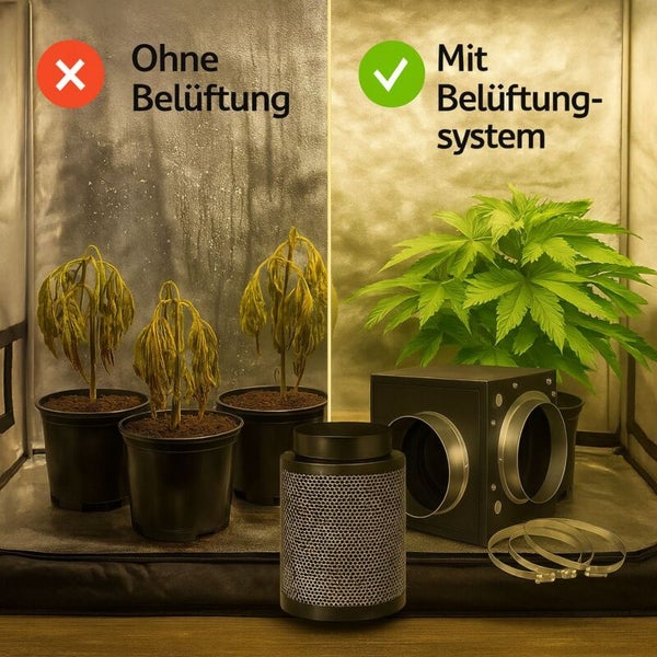 Vergleich von Pflanzen in einer Growbox: Welke Pflanzen ohne Belüftung gegenüber gesunden Pflanzen mit Belüftungssystem aus Lüfter und Filter.