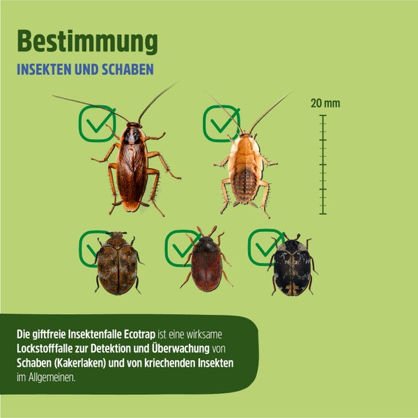 Anleitung zur Anwendung der Insekten- und Schabenfalle in neun Schritten