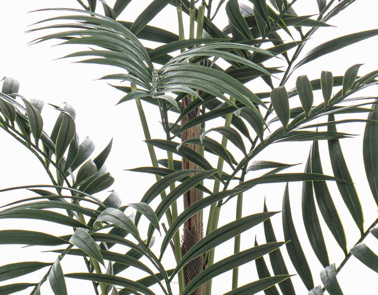 Künstliche Palme mit grünen Blättern und braunem Stamm in Nahaufnahme.